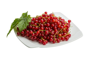 Red currant
