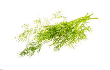 Dill branch