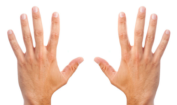hands