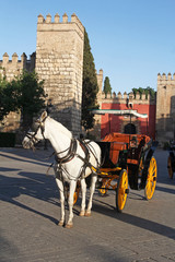 Naklejka na ściany i meble horse carriage near Seville's cathedral, Spain