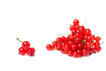Redcurrant isolated on the white background