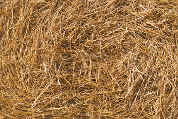 Солома. Фон