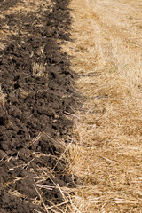 Опашка сельскохозяйственного поля