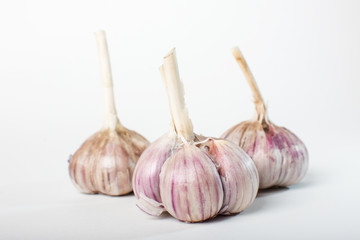 Garlic isolated on white background