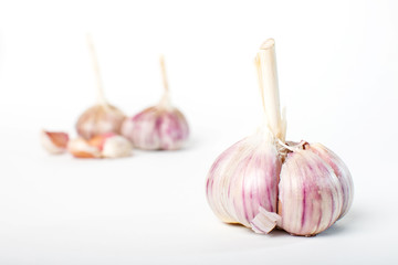 Garlic isolated on white background