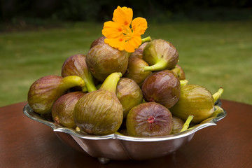Figs in garden