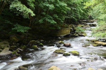 der Fluss Bode im Nationalpark Harz