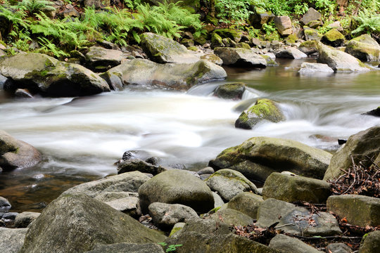 der Fluss Bode im Nationalpark Harz