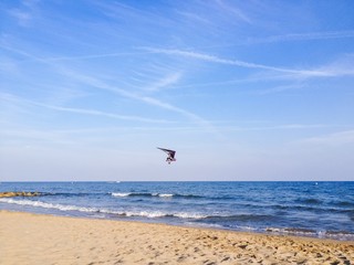 Obraz premium glider on the beach