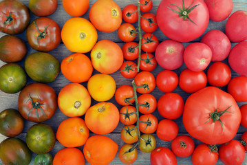 Rainbow from tomato.