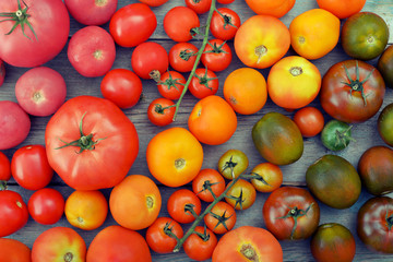 Rainbow from tomato.