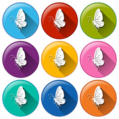 Butterfly icons