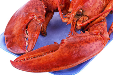 Cooked lobster