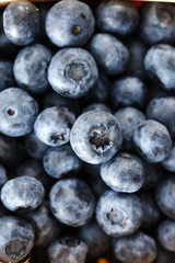 fresh blueberry