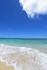 南国の美しいビーチと紺碧の空