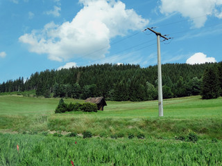 Casa na floresta