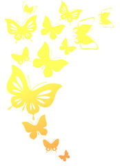 butterflies design