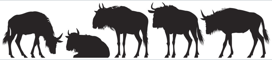 Wildebeest, gnu antelope vector silhouettes - obrazy, fototapety, plakaty