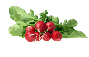 Radishes isolated on white background