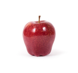 Red apple on white background