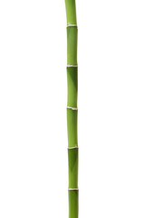 Naklejka premium Bamboo isolated on white