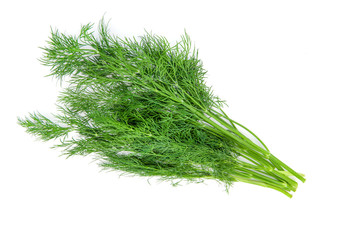 dill isolated on white