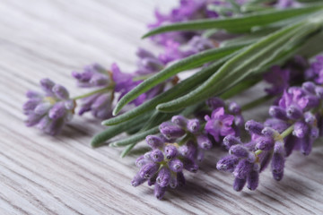 Obraz premium bouquet of fragrant lavender flowers