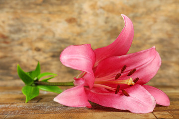 Obraz na płótnie Canvas Beautiful lily on wooden background