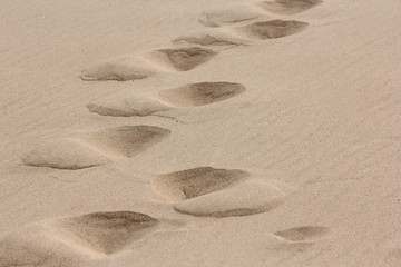 Footprints in the sand 3