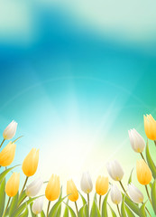 Bright blue sky field of tulips typography