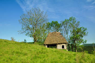 Wooden stable with thatched roof