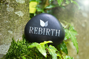 Rebirth - obrazy, fototapety, plakaty