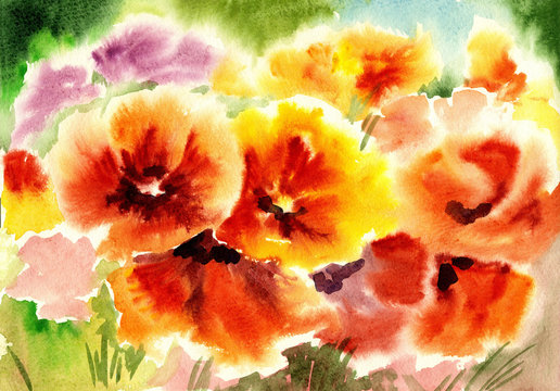 watercolor flowers, poppies abstracts art
