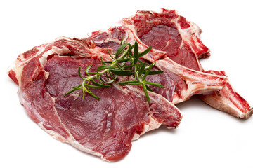 fresh meat