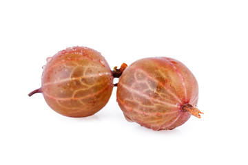 gooseberry on white background