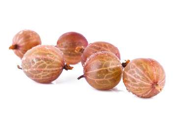 gooseberry on white background