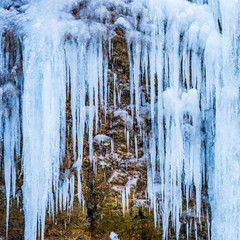 Frozen waterfall of blue icicles