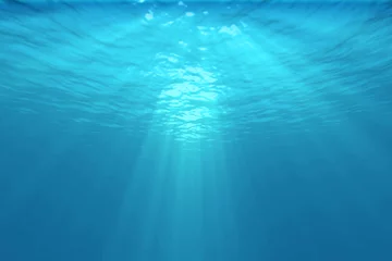 Zelfklevend Fotobehang Onderwater © exentia