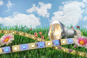 verschiedene LEDs