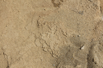 Texture-sand