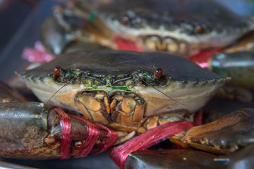 alive Crabs ready to be cooked at market