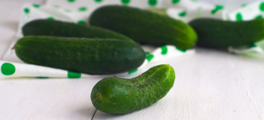 cucumber