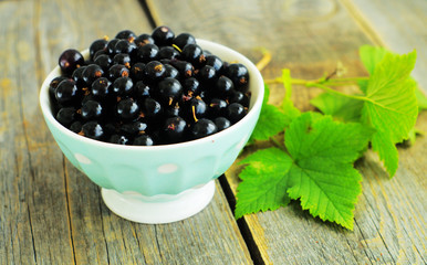 blackcurrant
