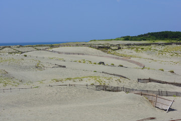 中田島砂丘　