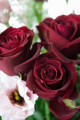 バラの花束 白背景