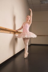 Beautiful ballerina standing en pointe holding barre © WavebreakMediaMicro