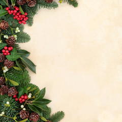 Winter Greenery Border