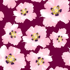 Paeonia suffruticosa peony ornament flower