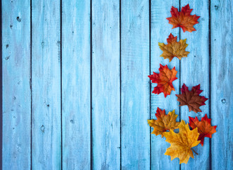 Naklejka na ściany i meble Autumn Leaves Thanksgiving Background