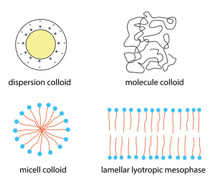 kinds of colloids